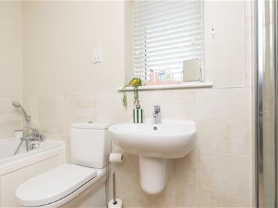 Picture 22
